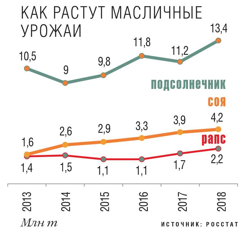 Как растут масличные