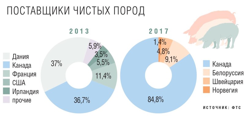 Поставщики чистых пород