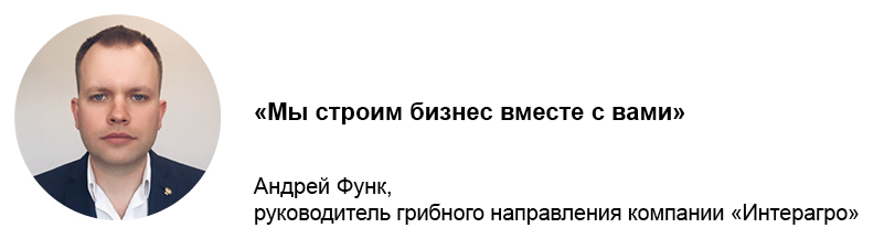 Андрей Функ, Руководитель грибного направления