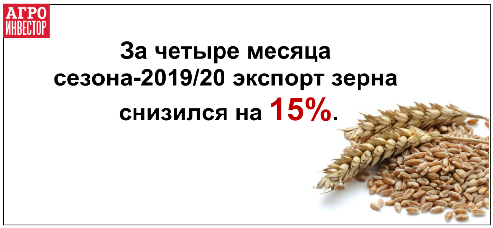 Экспорт зерна снизится на 15%