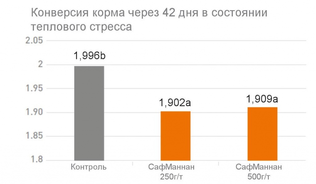 «СафМаннан» обеспечивает более высокий прирост у цыплят-бройлеров