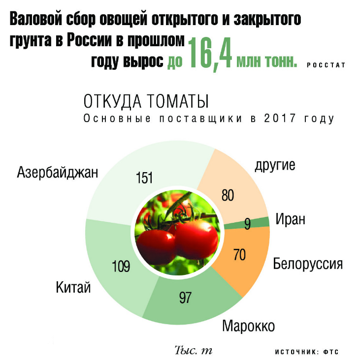 Основные поставщики томатов в Россию