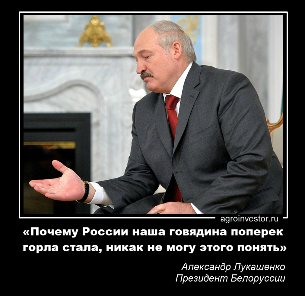Александр Лукашенко: «Почему России наша говядина поперек горла стала, никак не могу этого понять»