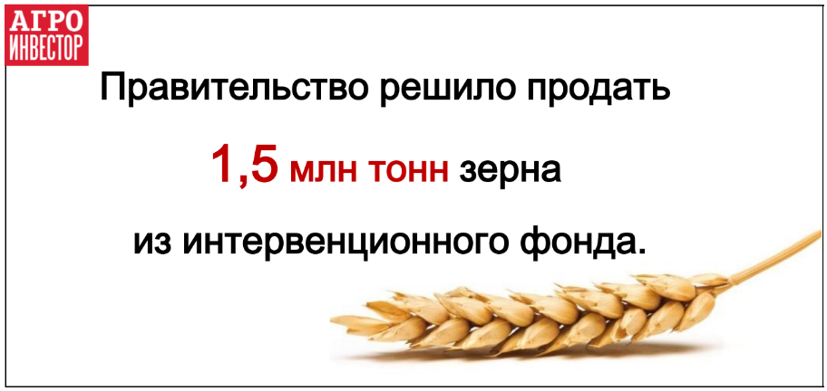 Правительство решило продать 1,5 млн тонн зерна из госфонда