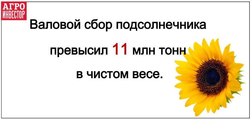 Урожай подсолнечника превысил 11,8 млн т 