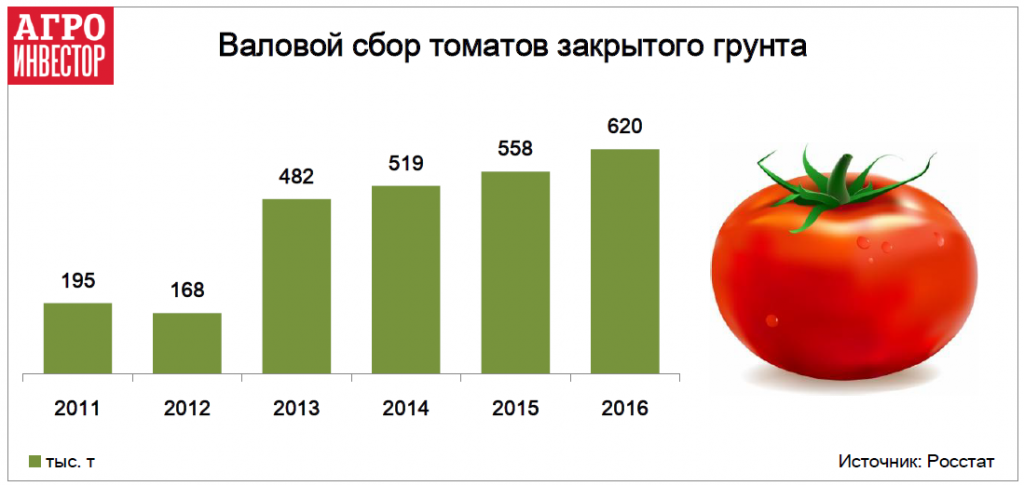 Валовой сбор томатов закрытого грунта