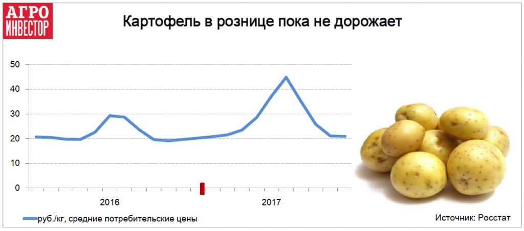 Картофель в рознице пока не дорожает