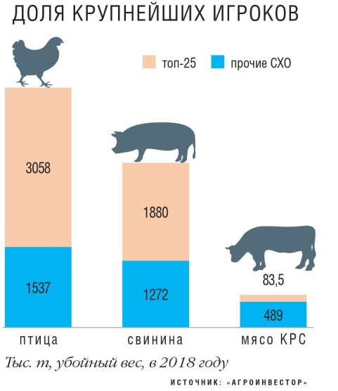 Доля крупнейших игроков