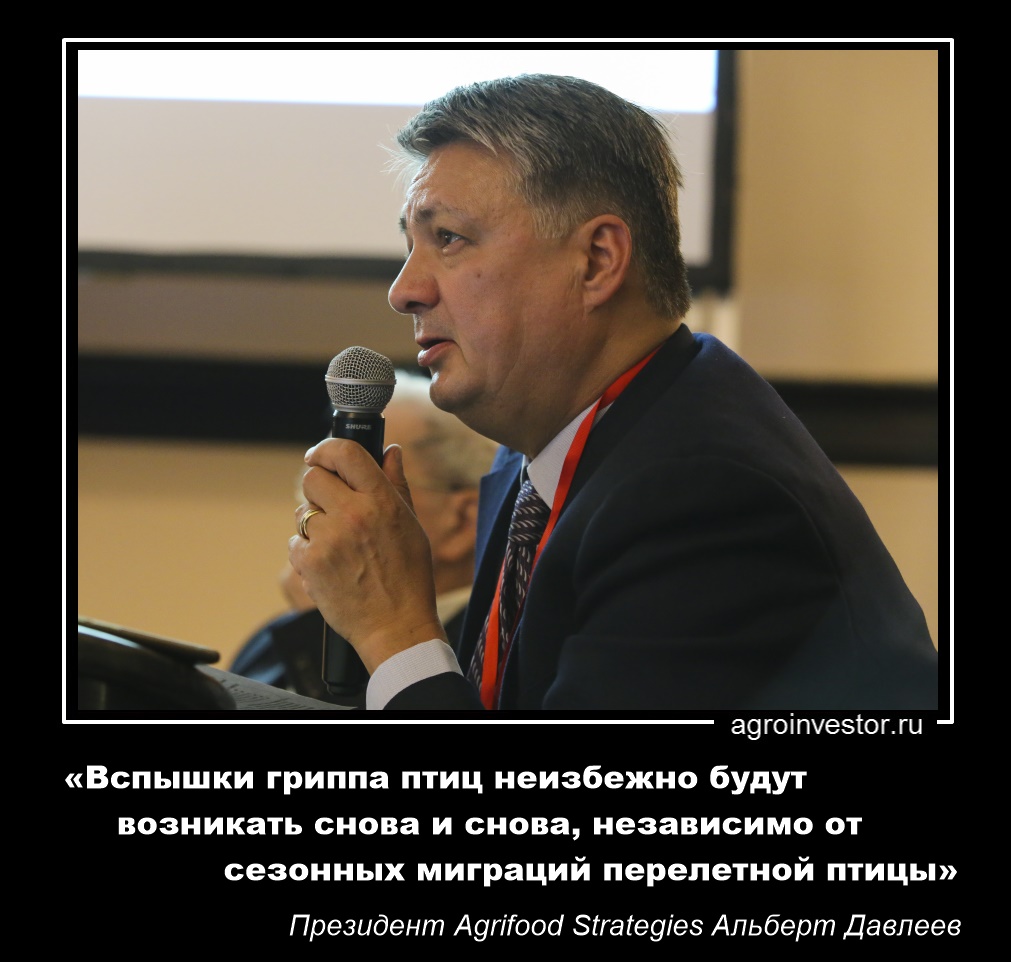 Альберт Давлеев «Вспышки гриппа птиц неизбежно будут возникать снова и снова»