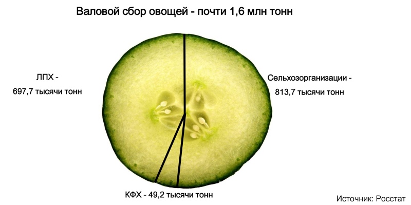 Валовый сбор овощей