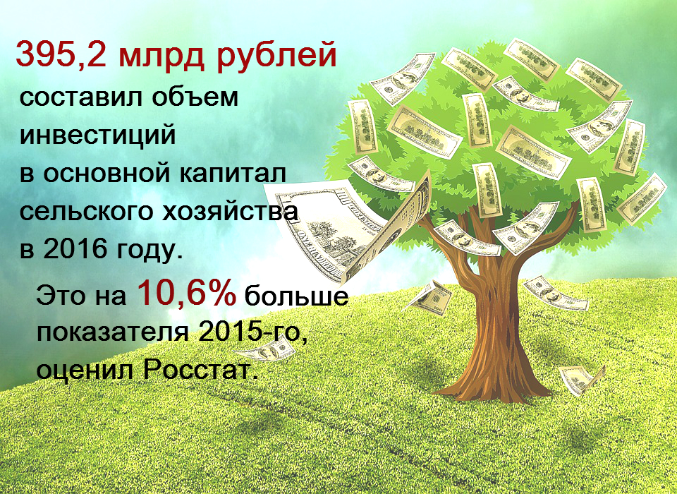 395,2 млрд рублей составил объем инвестиций в основной капитал сельского хозяйства в 2016 году