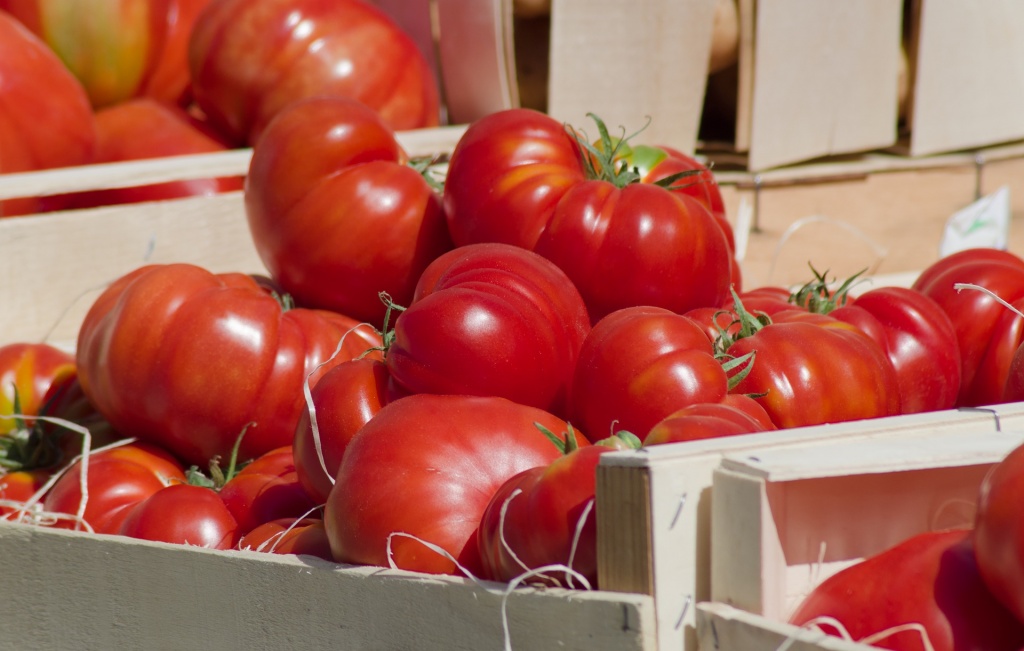 tomatoes-4260259_1920.jpg