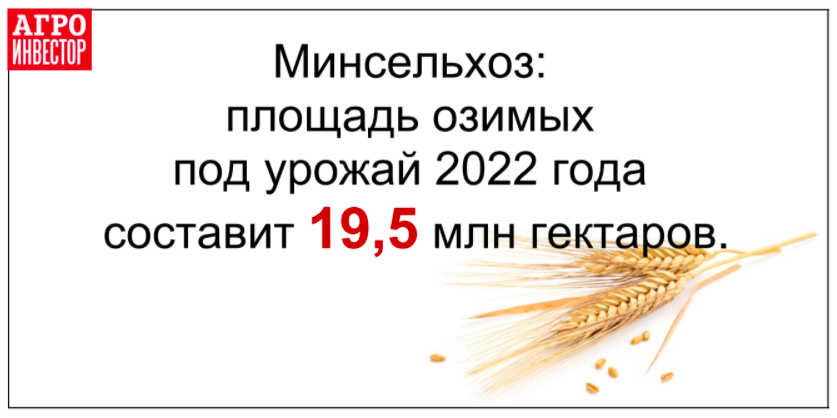 Снимок экрана 2021-09-19 в 08.54.01.png