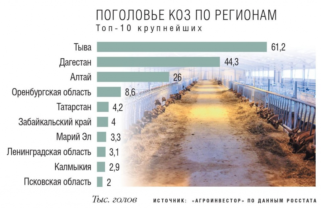 Поголовье коз по регионам