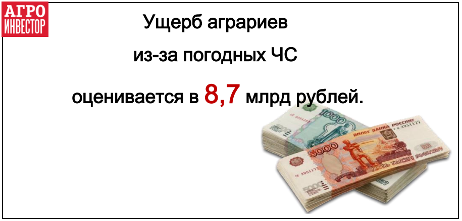 Ущерб аграриев из-за погодных ЧС приблизился к 9 млрд рублей