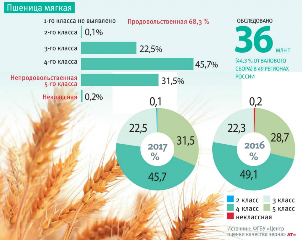 Гонка за урожайностью принимает в России катастрофический оборот