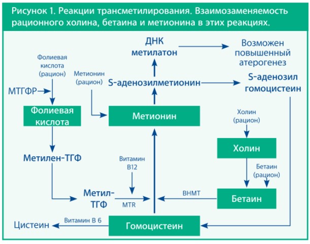 Снимок экрана 2021-12-03 162304.jpg