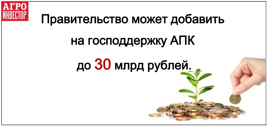 Правительство добавит до 30 млрд рублей на АПК