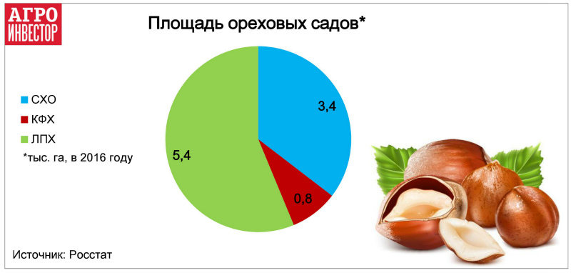 Площадь ореховых садов