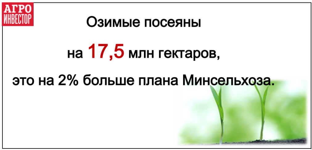 Сев озимых агрокультур под урожай 2019 года составил 17,29 млн га