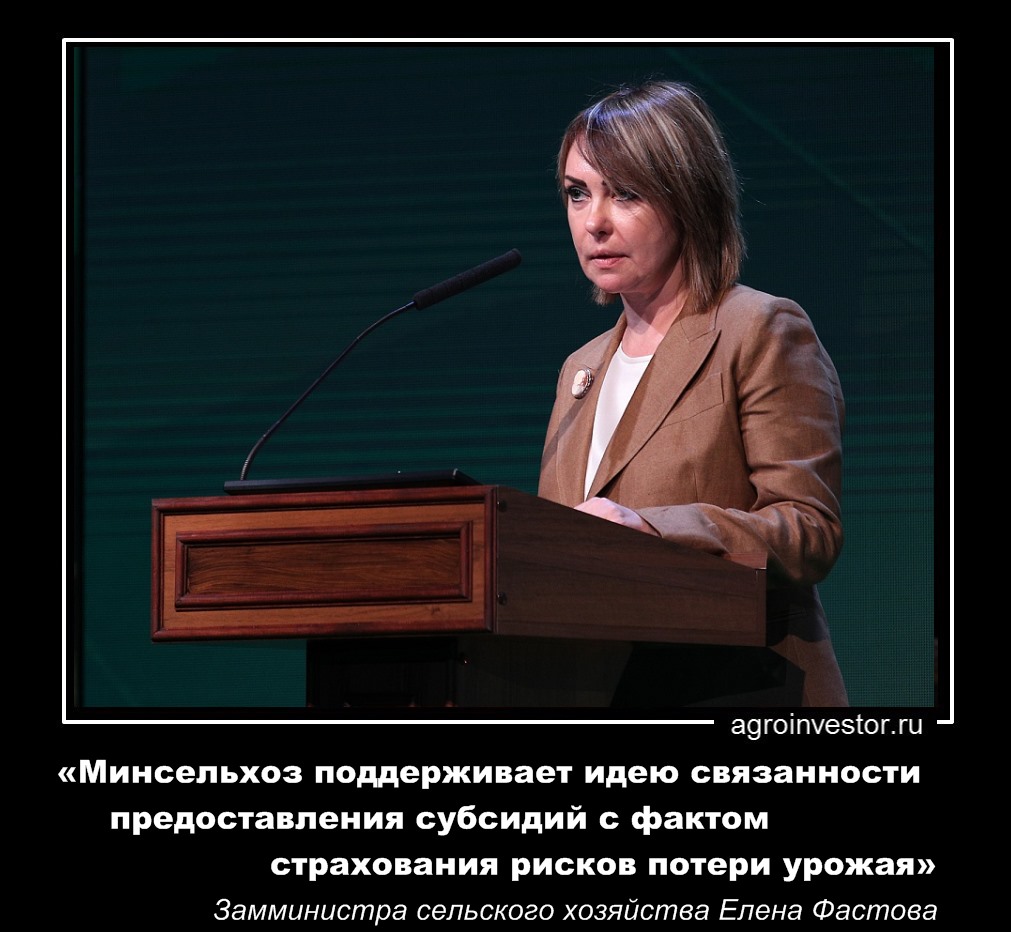 Елена Фастова «поддерживает идею связанности предоставления субсидий с фактом страхования»