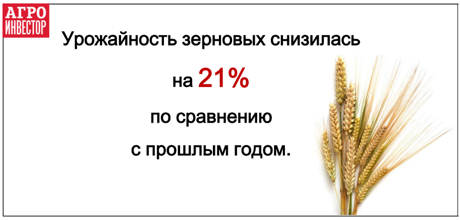 Урожайность зерновых снизилась на 21%