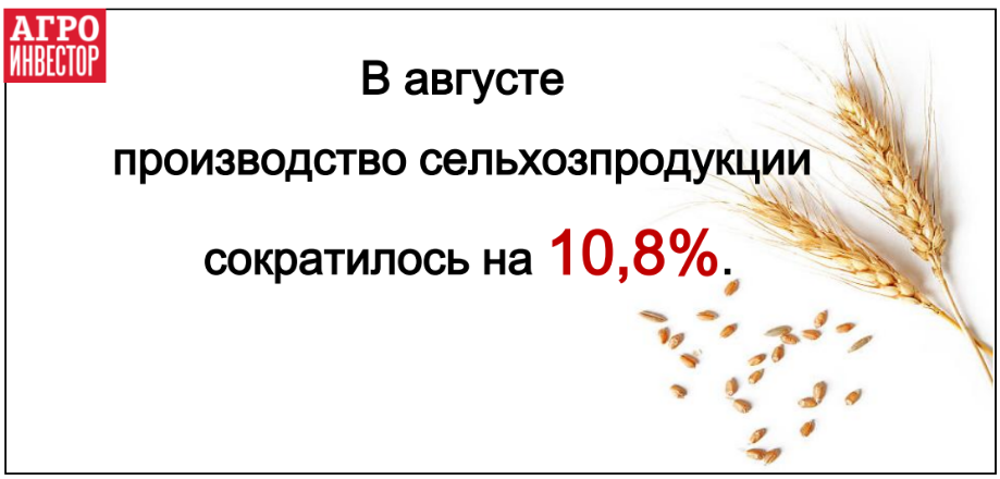 В августе агросектор сократился на 10,8%