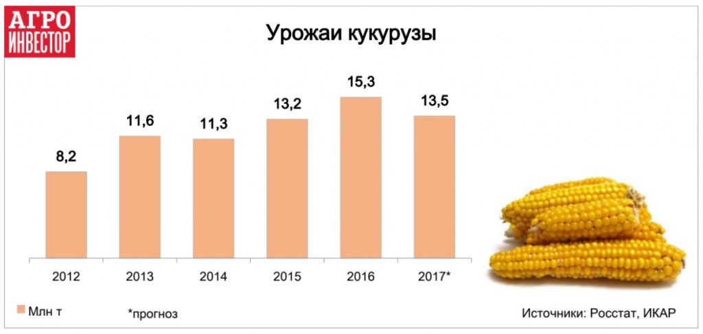 Какая урожайность кукурузы. Средняя урожайность кукурузы с 1 га в России. Средний сбор зерна кукурузы с 1 га. Средняя урожайность кукурузы на зерно с 1 га. Урожайность кукурузы на зерно с 1 га.