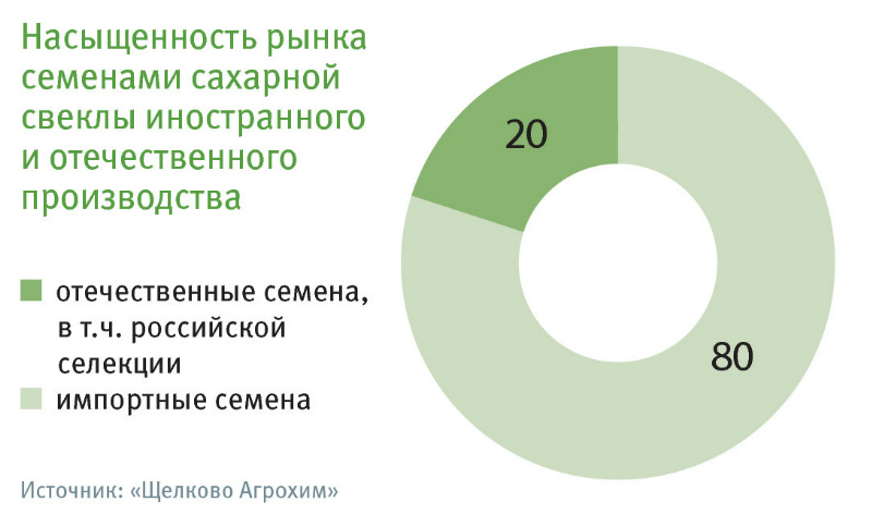 Насыщенность рынка семенами сахарной свеклы