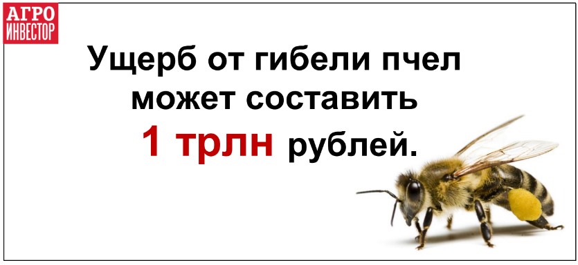 Ущерб от гибели пчел может составить триллион рублей