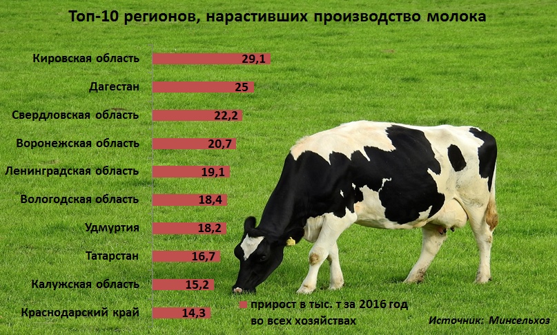 Топ-10 регионов, нарастивших производство молока