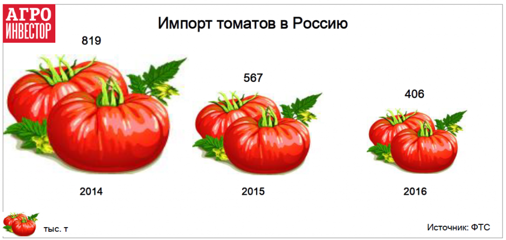 Импорт томатов в Россию