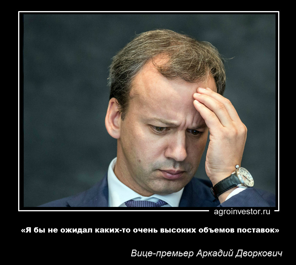 Вице-премьер Аркадий Дворкович: «Я бы не ожидал каких-то очень высоких объемов поставок» 