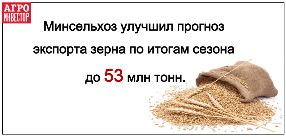 Экспорт зерна может достичь 53 млн тонн