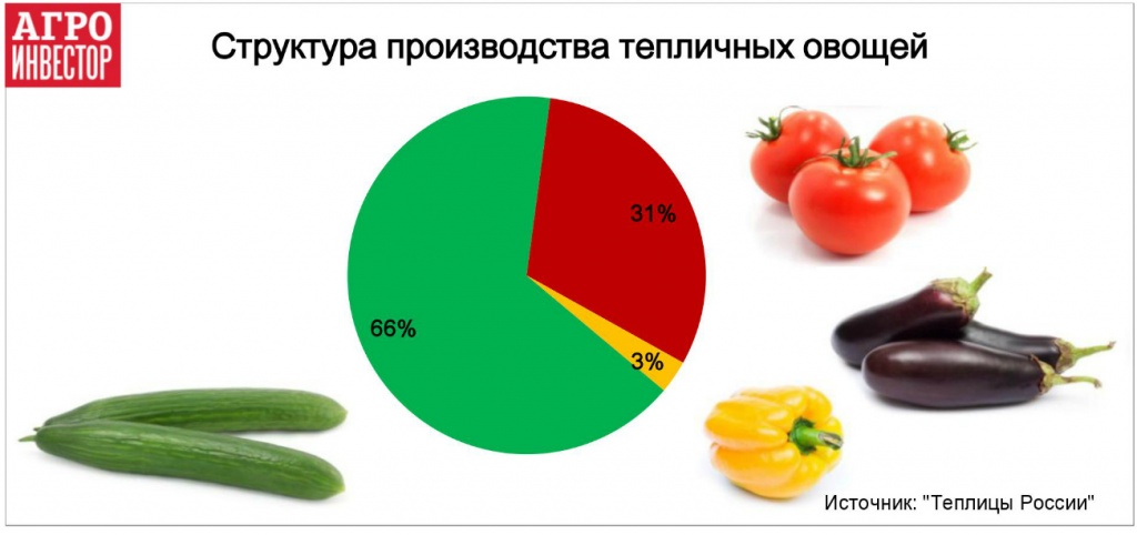 Структура производства тепличных овощей