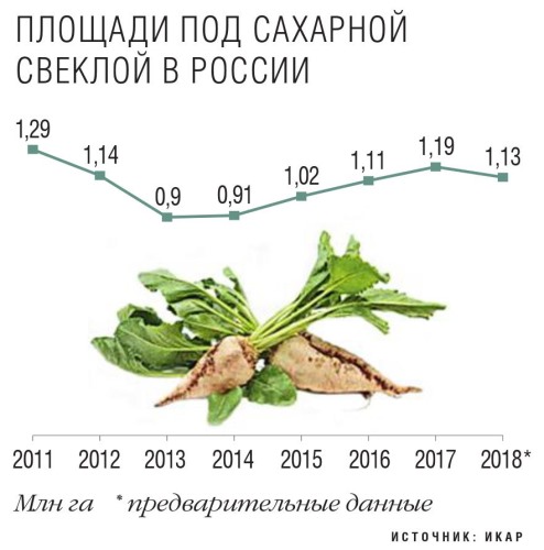 Сколько из килограмма свеклы получается сахара