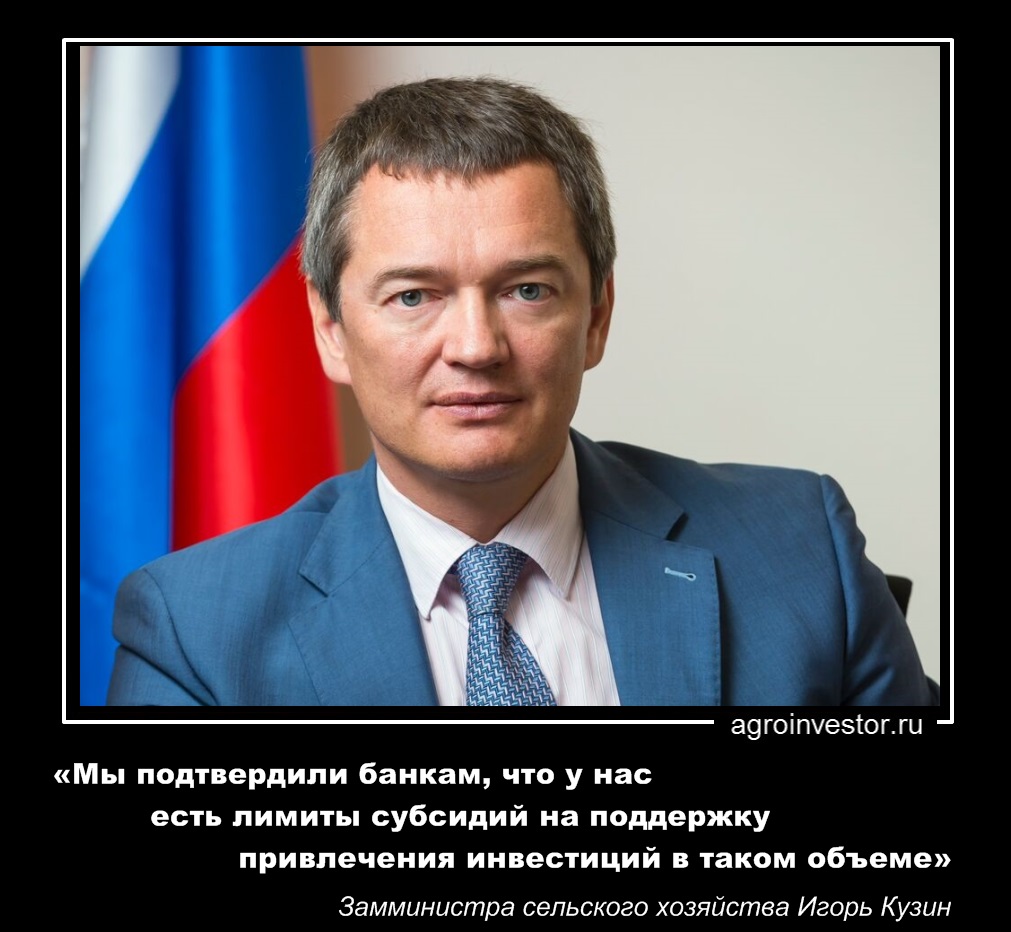 Замминистра сельского хозяйства Игорь Кузин «Мы подтвердили банкам, что у нас есть лимиты субсидий» 
