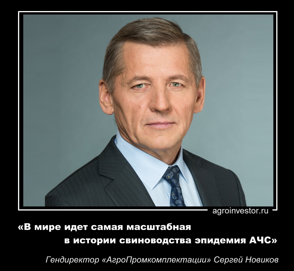 Сергей Новиков «В мире идет самая масштабная в истории свиноводства эпидемия АЧС»