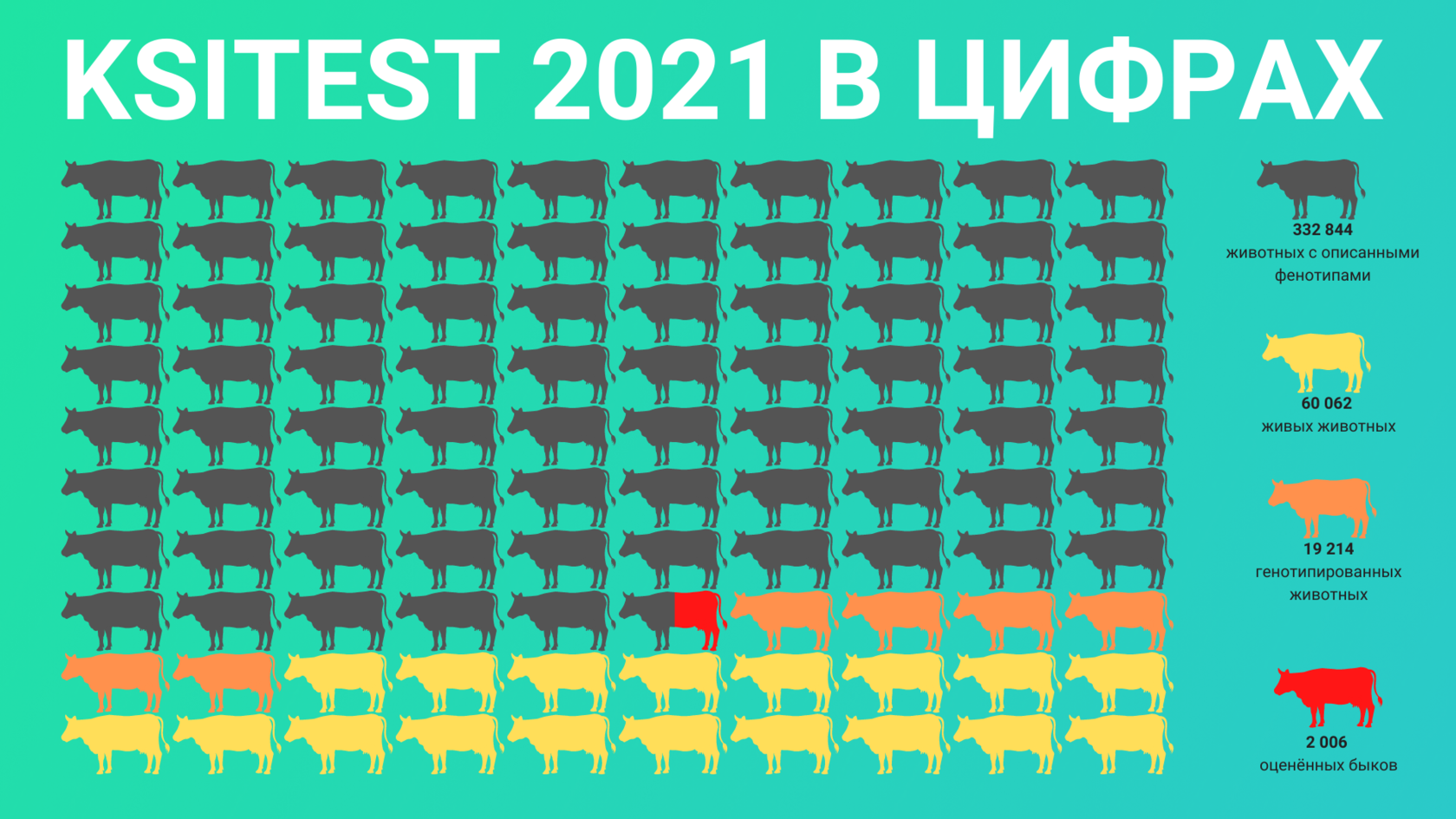 количество животных в референтной базе на декабрь 2021 года.png
