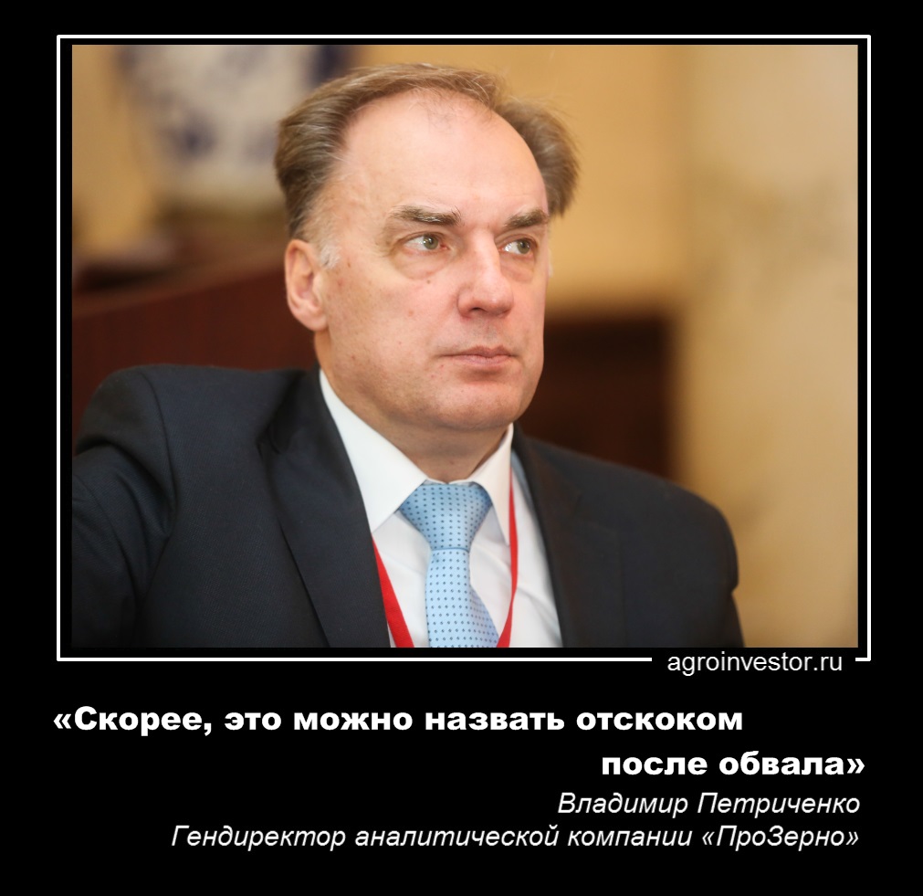 Владимир Петриченко «Скорее, это можно назвать отскоком после обвала»