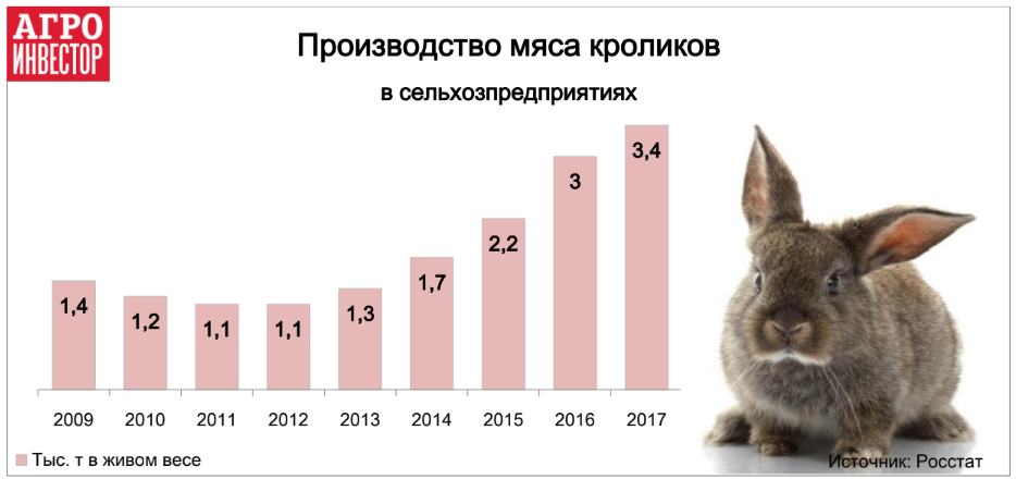 Зайцы изменение численности. Поголовье кроликов в России. Поголовье кроликов в мире. Кролиководство в России статистика.