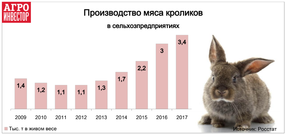 Производство мяса кролика