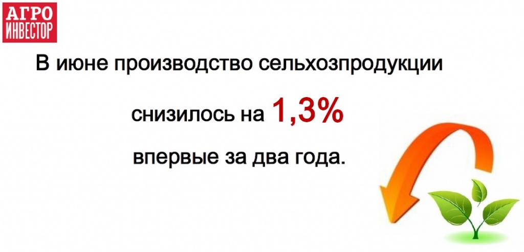 В июне производство сельхозпродукции снизилось на 1,3% впервые за два года