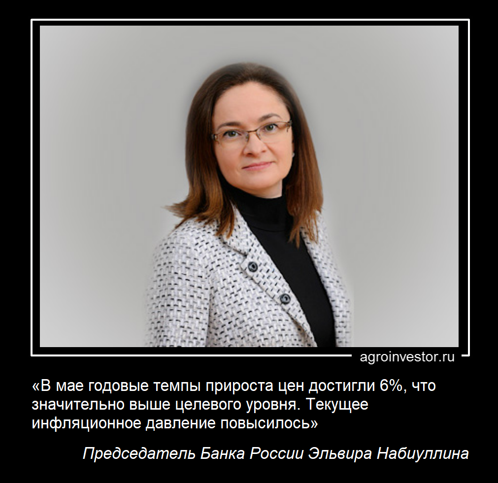 1_Набиулина_д2 (2).png