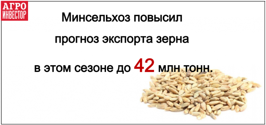 прогноз экспорта зерна до 42 млн тонн