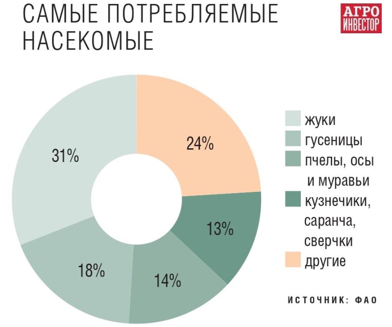 Самые потребляемые насекомые