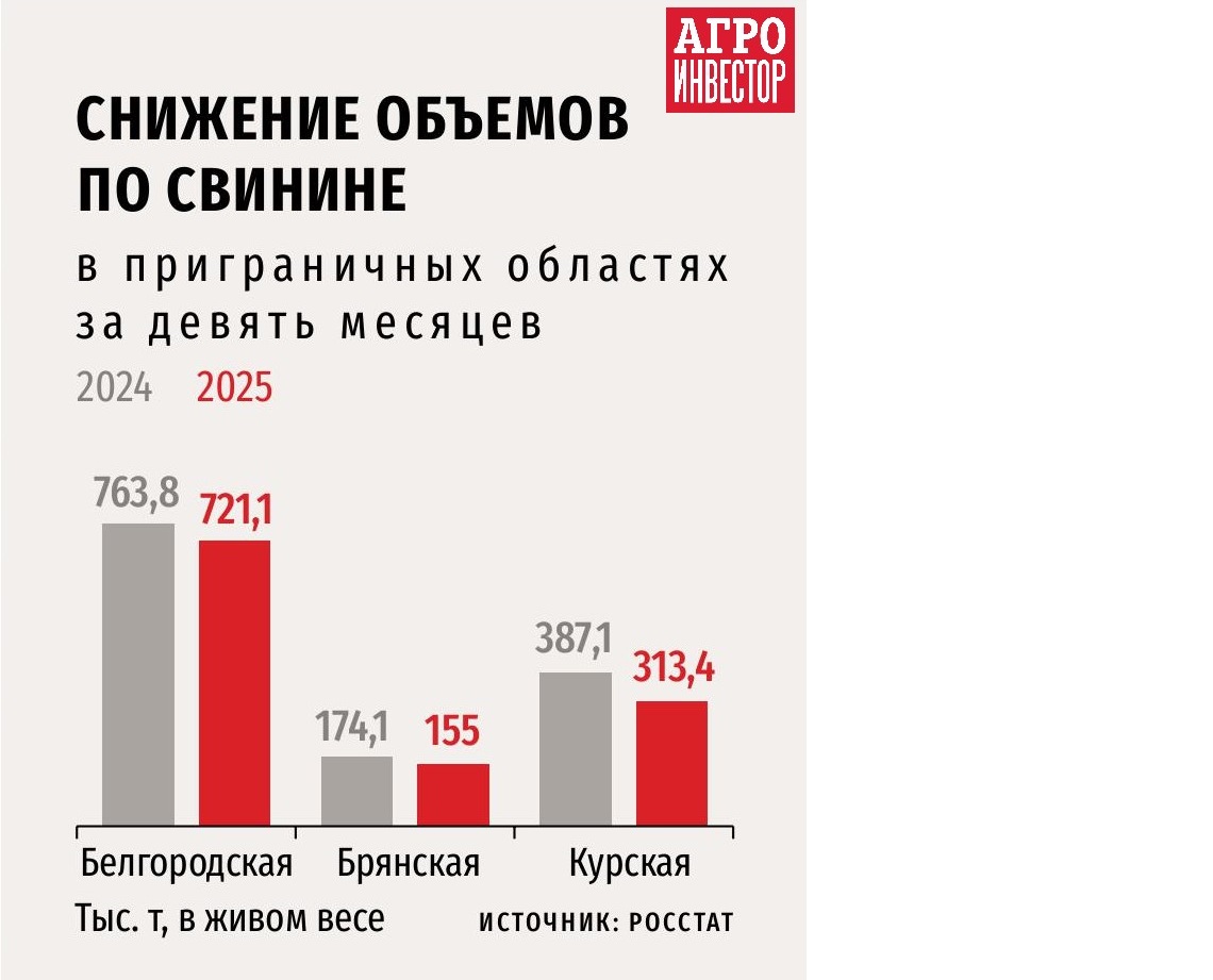 AI_December_2025_web-изображения-40.jpg AI_December_2025_web-изображения-40.jpg