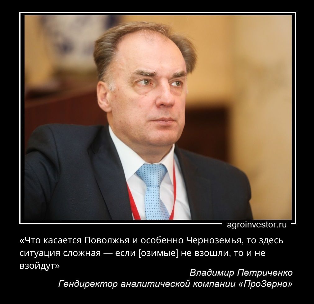 «Что касается Поволжья и особенно Черноземья, то здесь ситуация сложная — если [озимые] не взошли, то и не взойдут».jpg