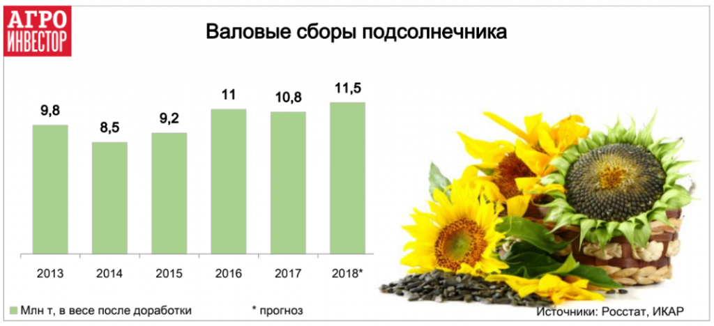 Температура посева подсолнечника. Урожайность подсолнуха с 1 га. Урожай подсолнечника в России по годам. Площадь посевов подсолнечника в России. Урожайность подсолнуха в России.