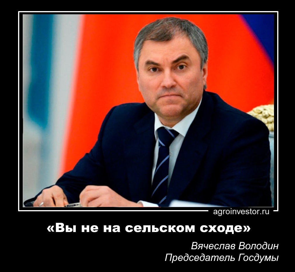 Володин: «Вы не на сельском сходе»